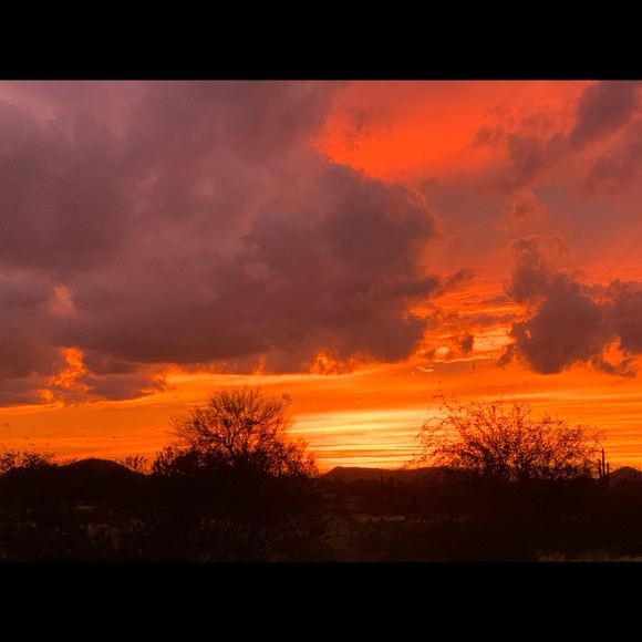 Meet your Posher, Jamie - Picture 1 of 1